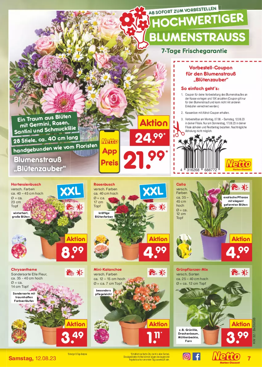 Aktueller Prospekt Netto Marken-Discount - Filial-Angebote - von 07.08 bis 12.08.2023 - strona 7 - produkty: angebot, Bau, bestpreis, blume, blumen, Blumenstrauß, Blüte, coupon, eis, elle, erde, Germ, Grünpflanzen, hortensie, hortensien, Kalanchoe, pflanze, pflanzen, reis, rosen, Ti, tisch, topf, ZTE