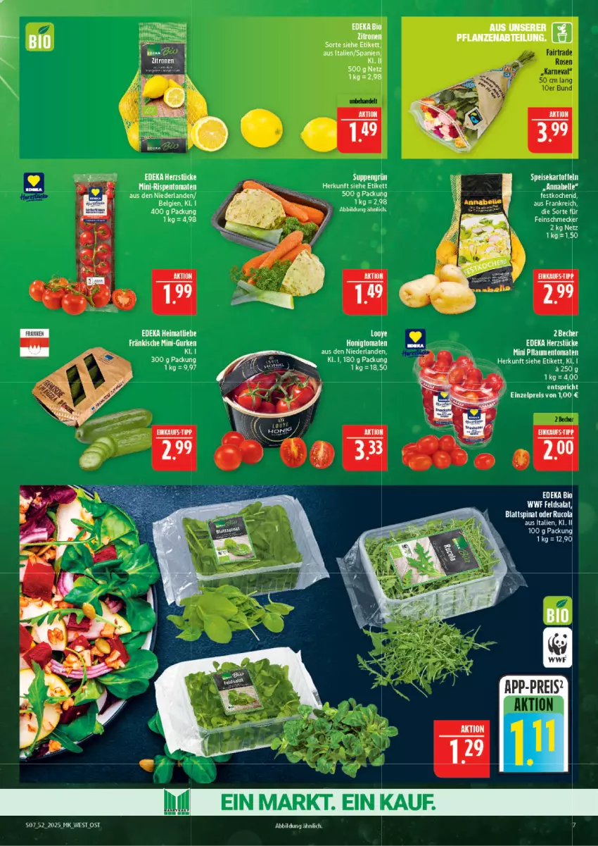 Aktueller Prospekt Marktkauf - Prospekt - von 21.12 bis 27.12.2025 - strona 7 - produkty: Abtei, Becher, bio, blattspinat, cola, deka, edeka bio, eis, elle, gurke, gurken, honig, Honigtomaten, kartoffel, kartoffeln, mini-gurken, pflanze, pflanzen, pflaume, pflaumen, rucola, speisekartoffeln, spinat, Ti, tomate, tomaten