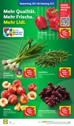 Gazetka promocyjna Lidl - Aktionsprospekt - Gazetka - ważna od 22.07 do 22.07.2023 - strona 40 - produkty: bohne, bohnen, Buschbohnen, eis, Lauchzwiebel, lauchzwiebeln, ndk, Nektar, nektarinen, paprika, reis, Schal, Schale, Ti, trauben, zwiebel, zwiebeln