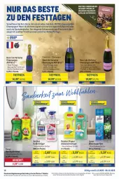 Gazetka promocyjna Metro - Starke Marken - Gazetka - ważna od 06.12 do 06.12.2025 - strona 16 - produkty: allzweckreiniger, angebot, aperitif, beere, beeren, brut, champagne, champagner, decke, eis, fairy, flasche, frucht, früchte, früchten, getränk, getränke, Henri de Verlaine, himbeer, himbeere, himbeeren, Kalkreiniger, lenor, meeresfrüchte, Meister, meister proper, Metro, metro gastro, Palette, perla, reiniger, reis, spülmittel, Ti, tiefpreis, vanille, wäscheparfüm, weck, wein, weine