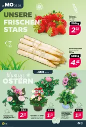 Gazetka promocyjna Netto - Woche 13 - Gazetka - ważna od 30.03 do 30.03.2024 - strona 2 - produkty: beere, beeren, erdbeere, erdbeeren, ring, spargel, Ti