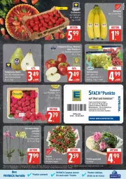 Gazetka promocyjna Edeka - Prospekte - Gazetka - ważna od 03.03 do 03.03.2025 - strona 7 - produkty: angebot, banane, bananen, beere, beeren, Birnen, coupon, coupons, deka, eis, himbeer, himbeere, himbeeren, LG, Mett, obst, Obst und Gemüse, orchidee, payback, reis, Schmetterling, schmetterlingsorchidee, tafelbirnen, tafeltrauben, Ti, trauben, und gemüse, Wella, ZTE