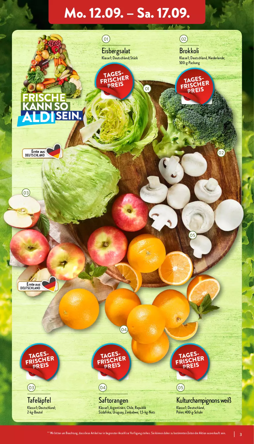 Aktueller Prospekt Aldi Nord - Aldi-Vorschau - von 12.09 bis 17.09.2022 - strona 3 - produkty: aldi, beutel, brokkoli, eis, eisbergsalat, orange, orangen, saft, Saftorangen, salat, Schal, Schale, tafeläpfel, Ti, ZTE