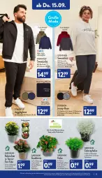 Gazetka promocyjna Aldi Nord - Aldi-Vorschau - Gazetka - ważna od 17.09 do 17.09.2022 - strona 23 - produkty: aldi, Bau, baumwolle, beere, beeren, Blüte, Brei, dell, gin, hose, Jacke, Jogginghose, Kalanchoe, kulturtopf, Mode, pflanze, pflanzen, Ria, shirt, sweatjacke, Sweatshirt, Tasche, Ti, topf, Tüte, up2fashion, wolle, ZTE