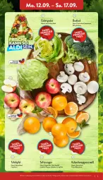 Gazetka promocyjna Aldi Nord - Aldi-Vorschau - Gazetka - ważna od 17.09 do 17.09.2022 - strona 3 - produkty: aldi, beutel, brokkoli, eis, eisbergsalat, orange, orangen, saft, Saftorangen, salat, Schal, Schale, tafeläpfel, Ti, ZTE
