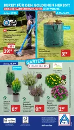 Gazetka promocyjna Aldi Nord - Aldi-Vorschau - Gazetka - ważna od 17.09 do 17.09.2022 - strona 32 - produkty: aldi, auer, auto, Bau, Bauer, Blüte, Brei, bürste, bürsten, einhell, Garten, gin, Konifere, kraft, kulturtopf, LG, magazin, papier, pflanze, pflanzen, reiniger, Ria, ring, sac, telefon, Ti, topf, ZTE