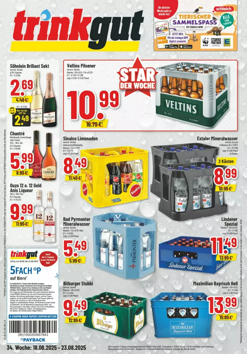 Aktueller Prospekt Trinkgut - Prospekte - von 17.08 bis 23.08.2025 - strona 1 - produkty: Alwa, Bad, bier, Biere, brillant sekt, coupon, deka, Extaler, limo, limonade, limonaden, liqueur, mineralwasser, monte, papier, payback, pils, pilsener, sekt, sinalco, söhnlein, söhnlein brillant, Ti, veltins, veltins pilsener, wasser