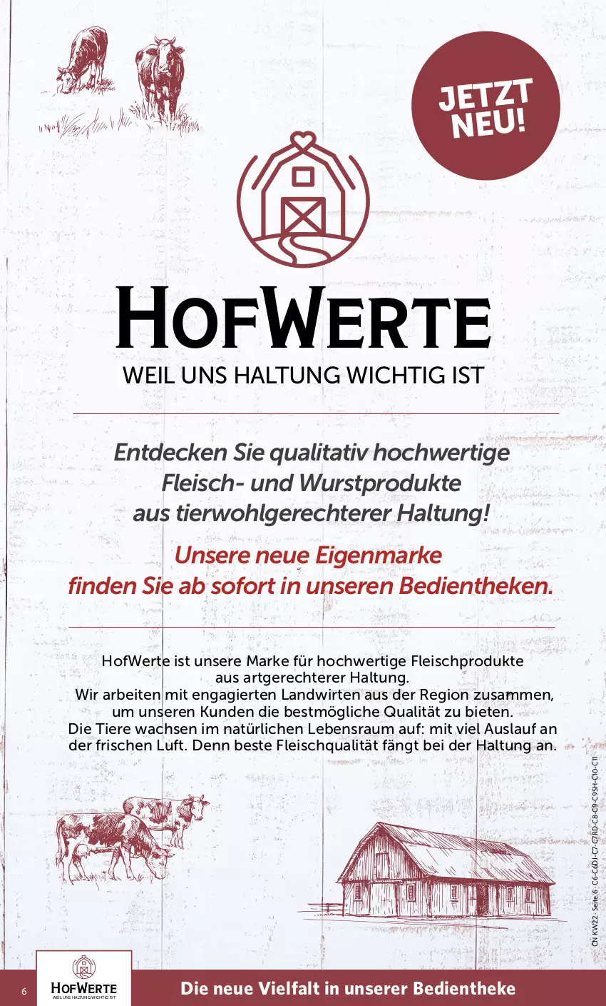 Aktueller Prospekt Combi - Prospekte - von 30.05 bis 03.06.2023 - strona 6 - produkty: decke, eis, fleisch, HP, LG, Ti, Tiere, wurst