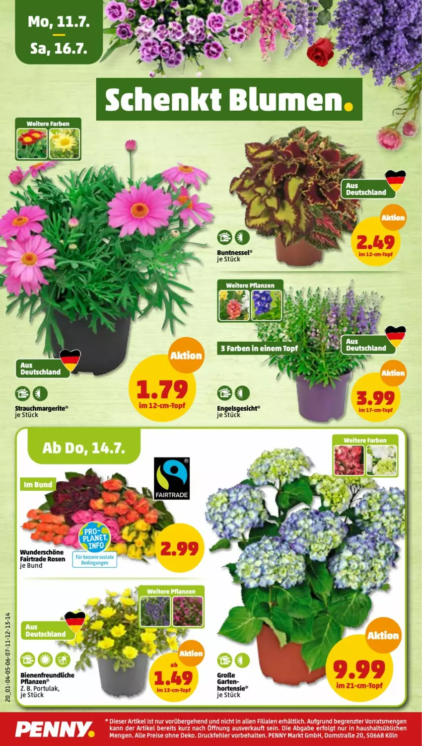 Aktueller Prospekt Penny - Prospekte - von 11.07 bis 16.07.2022 - strona 20 - produkty: Engel, Garten, hortensie, pflanze, pflanzen, Rauch, rosen