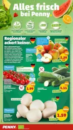 Gazetka promocyjna Penny - Prospekte - Gazetka - ważna od 16.07 do 16.07.2022 - strona 4 - produkty: Bau, fenster, grill, ideal zum grillen, obst, regal, Schal, Schale, snack, tee, Ti, tomate, tomaten