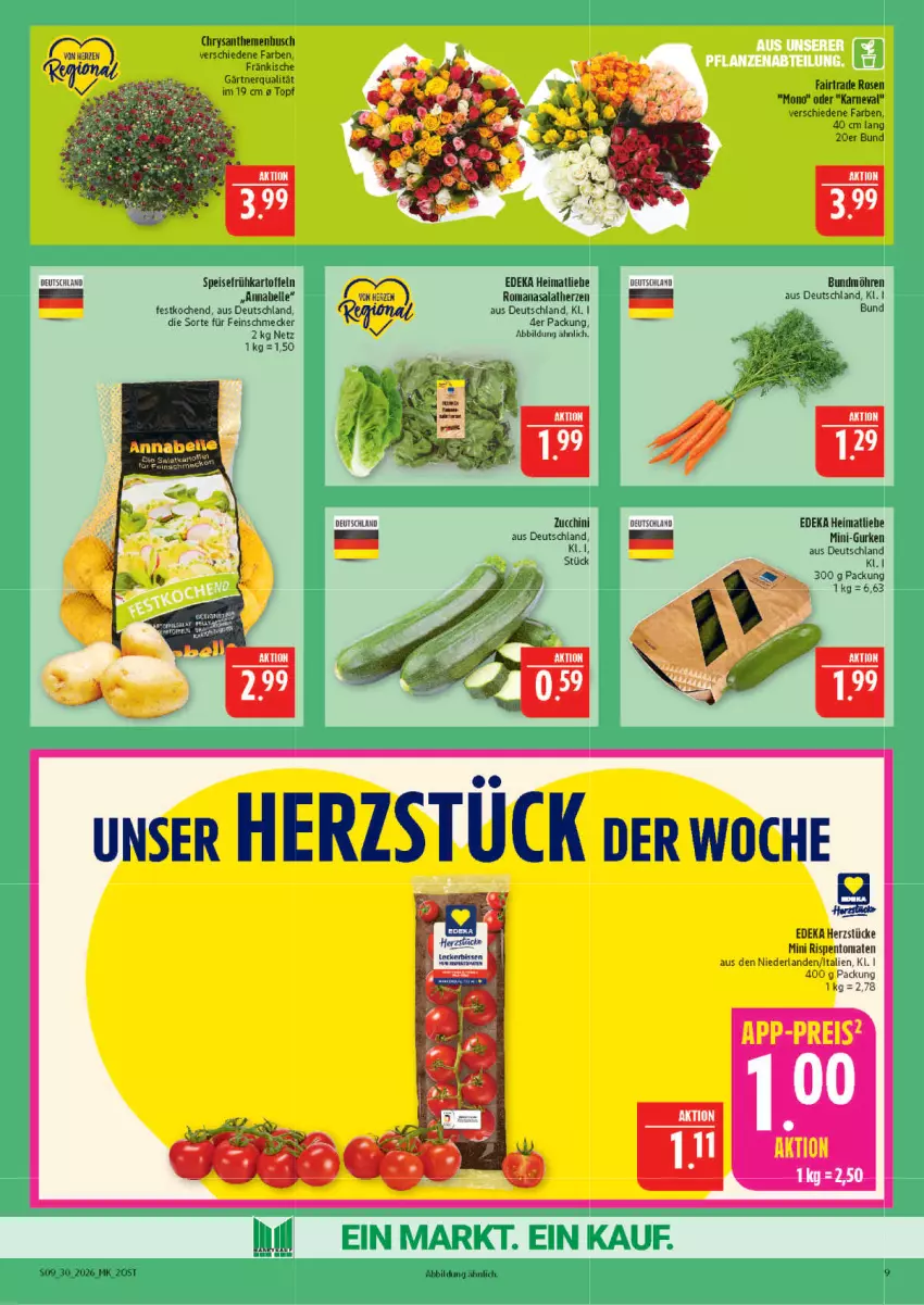 Aktueller Prospekt Marktkauf - Prospekt - von 19.07 bis 25.07.2026 - strona 9 - produkty: Bundmöhren, chrysanthemen, deka, eis, elle, feinschmecker, Frühkartoffeln, gurke, gurken, kartoffel, kartoffeln, mini-gurken, möhren, reis, rispentomaten, rosen, speisefrühkartoffeln, tomate, tomaten, topf, zucchini