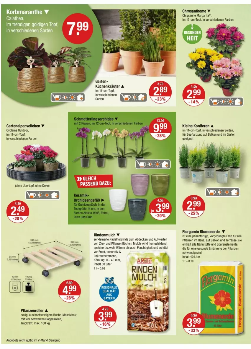 Aktueller Prospekt Vmarkt - Prospekte - von 25.09 bis 01.10.2025 - strona 20 - produkty: Alpenveilchen, angebot, angebote, blume, blumen, blumenerde, buch, decke, ente, erde, Garten, Holz, Konifere, kraft, Kraut, kräuter, küche, Küchen, leine, LG, massivholz, pflanze, pflanzen, rind, rindenmulch, Roller, Ti, topf, usb