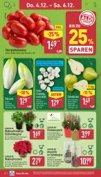 Gazetka promocyjna Aldi Nord - Von Montag - Gazetka - ważna od 06.12 do 06.12.2025 - strona 34 - produkty: Berger, Birnen, Blüte, braten, champignon, champignons, datteltomaten, gin, hama, kulturtopf, LG, pfanne, pfannen, pflanze, Schal, Schale, tafelbirnen, tee, Ti, tomate, tomaten, topf, übertopf, Weihnachtsstern, ZTE