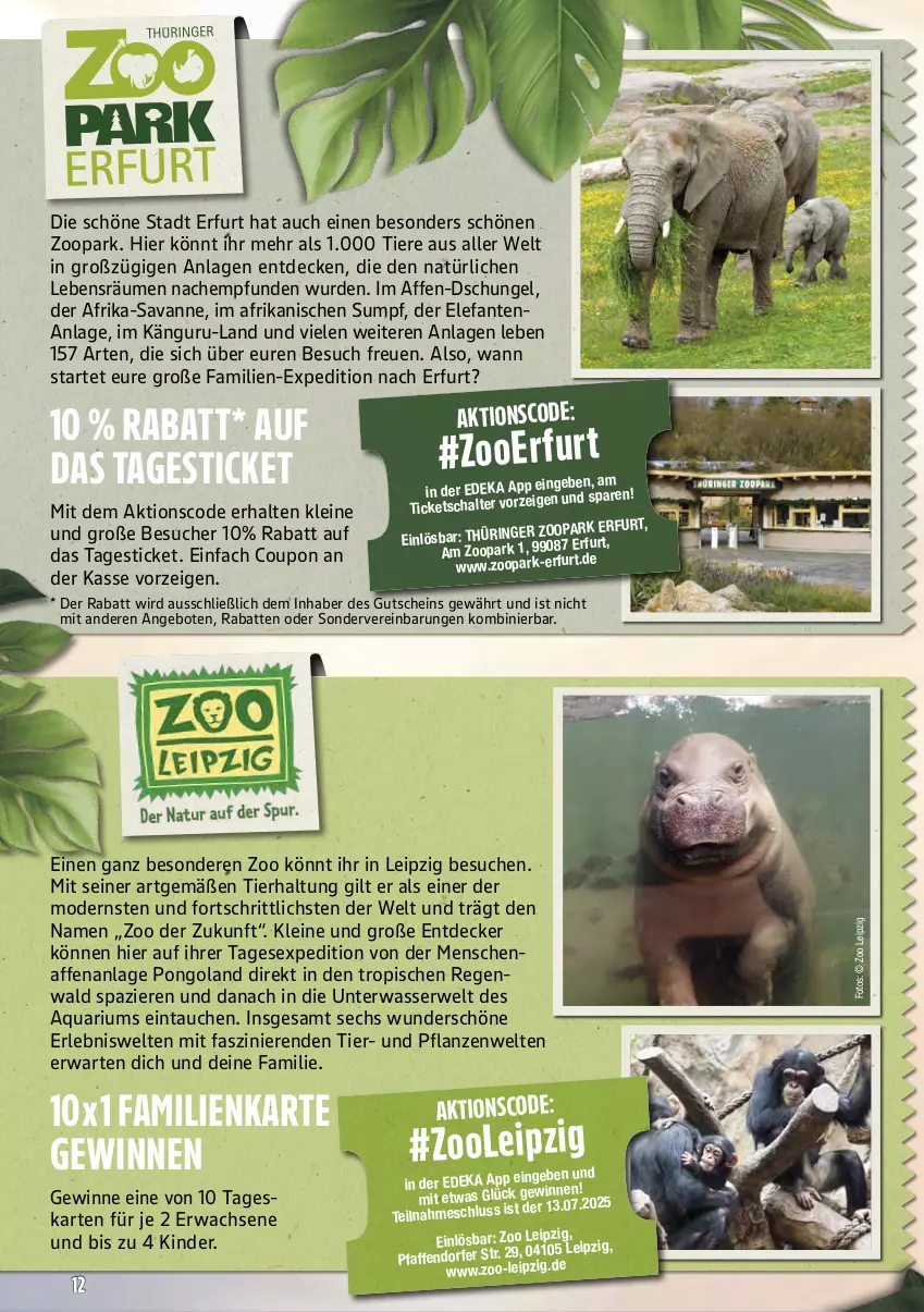 Aktueller Prospekt Marktkauf - Prospekt - von 22.06 bis 28.06.2025 - strona 56 - produkty: angebot, angebote, aqua, coupon, decke, deka, Elefant, gutschein, Kinder, leine, Mode, pflanze, pflanzen, ring, rwe, Schal, Ti, Tiere, wasser