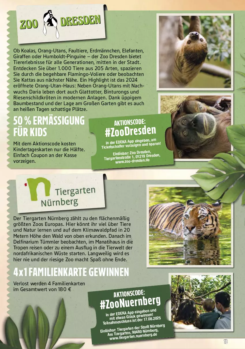 Aktueller Prospekt Marktkauf - Prospekt - von 22.06 bis 28.06.2025 - strona 57 - produkty: Bau, coupon, decke, deka, eis, Elefant, erde, Garten, Kinder, mac, Mode, natur, pingui, reis, Ria, rwe, Schal, Ti, Tiere