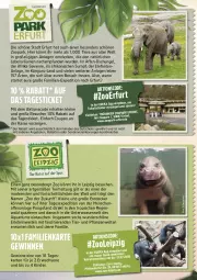 Gazetka promocyjna Marktkauf - Prospekt - Gazetka - ważna od 28.06 do 28.06.2025 - strona 56 - produkty: angebot, angebote, aqua, coupon, decke, deka, Elefant, gutschein, Kinder, leine, Mode, pflanze, pflanzen, ring, rwe, Schal, Ti, Tiere, wasser