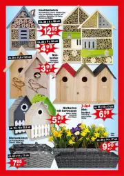 Gazetka promocyjna - Prospekte - Gazetka - ważna od 08.02 do 08.02.2025 - strona 8 - produkty: blume, blumen, Garten, Holz, sekt