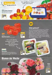Gazetka promocyjna Edeka - Angebote der Woche - Gazetka - ważna od 13.08 do 13.08.2022 - strona 11 - produkty: angebot, balsam, balsamico, bio, blume, blumen, brot, Brotdose, cherrytomaten, dahlie, dressing, eis, fleisch, hartkäse, Heu, Käse, LG, mozzarella, orange, reifen, rel, salat, Schal, Schale, Ti, tisch, tomate, tomaten