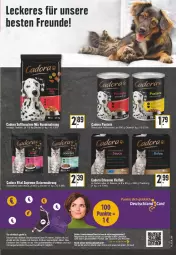 Gazetka promocyjna Edeka - Angebote der Woche - Gazetka - ważna od 13.08 do 13.08.2022 - strona 29 - produkty: beutel, Brock, deutschlandcard, elle, gelee, hundenahrung, katzennahrung, rind, sauce, Ti, vita