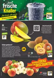 Gazetka promocyjna Edeka - Angebote der Woche - Gazetka - ważna od 13.08 do 13.08.2022 - strona 8 - produkty: bier, Biere, braten, Brühe, Cashew, cashewkerne, eis, Elan, elle, erde, fleisch, frucht, früchte, fruchtfleisch, grill, jonagored, kiwi, Kiwi Gold, knoblauch, kräuter, kräutern, küche, likör, Löffel, mango, mangos, merl, milch, mozzarella, nuss, rel, rezept, saft, sahne, salat, Schal, Schale, Sorbet, tafeläpfel, Ti, Tiere