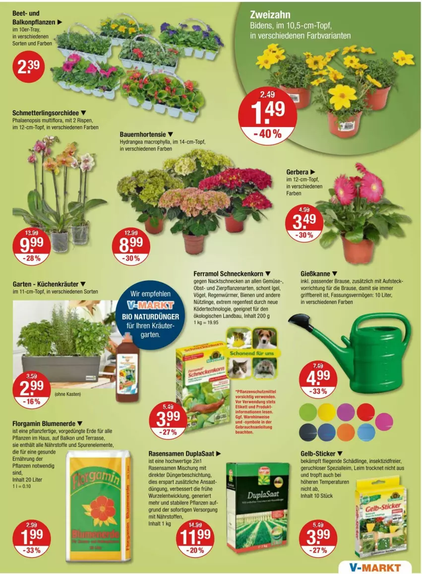 Aktueller Prospekt Vmarkt - Prospekte - von 04.04 bis 10.04.2024 - strona 23 - produkty: auer, balkonpflanzen, Bau, Bauer, bio, blume, blumen, blumenerde, brause, dünger, eier, eis, ente, erde, ferramol schneckenkorn, Garten, Gerber, Gießkanne, hortensie, hydrangea, hydrangea macrophylla, Insektizid, korn, LG, Liege, lion, mac, Mett, natur, obst, orchidee, pflanze, pflanzen, phalaenopsis, rasen, rasensamen, reis, rwe, Schmetterling, schmetterlingsorchidee, schneckenkorn, sekt, Spezi, Ti, topf, WICK