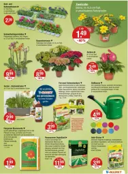 Gazetka promocyjna Vmarkt - Prospekte - Gazetka - ważna od 10.04 do 10.04.2024 - strona 23 - produkty: auer, balkonpflanzen, Bau, Bauer, bio, blume, blumen, blumenerde, brause, dünger, eier, eis, ente, erde, ferramol schneckenkorn, Garten, Gerber, Gießkanne, hortensie, hydrangea, hydrangea macrophylla, Insektizid, korn, LG, Liege, lion, mac, Mett, natur, obst, orchidee, pflanze, pflanzen, phalaenopsis, rasen, rasensamen, reis, rwe, Schmetterling, schmetterlingsorchidee, schneckenkorn, sekt, Spezi, Ti, topf, WICK