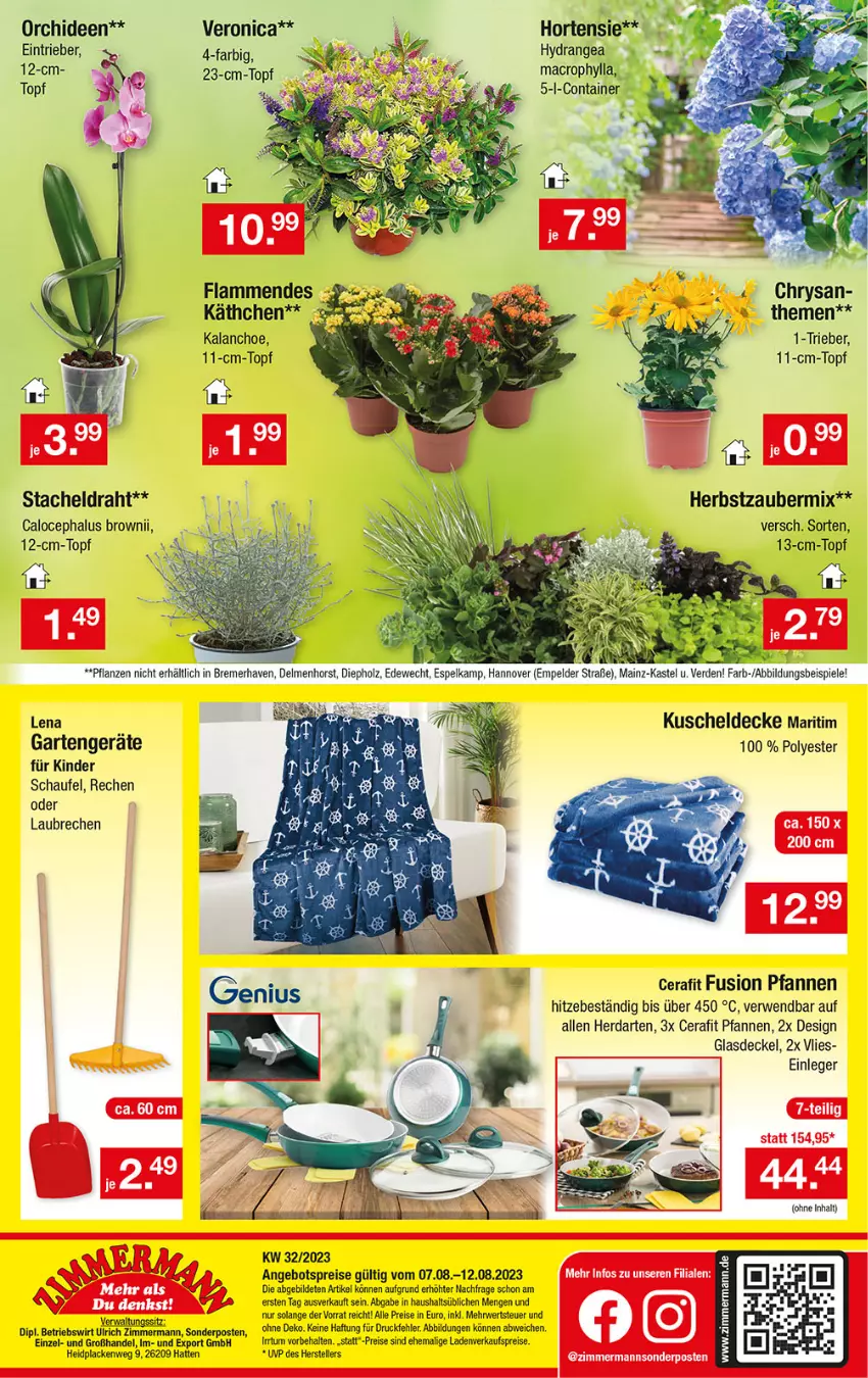 Aktueller Prospekt Zimmermann - Prospekte - von 07.08.2021 bis 12.08.2023 - strona 10 - produkty: angebot, angebotspreis, Container, decke, Deckel, dip, Draht, eis, elle, erde, Garten, Glasdeckel, herdarten, Holz, hortensie, hydrangea, Kalanchoe, Kinder, kuscheldecke, lack, Lacke, lamm, mac, orchidee, orchideen, pfanne, pfannen, pflanze, pflanzen, reis, rwe, sonderposten, Spiele, teller, Ti, topf