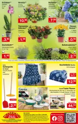 Gazetka promocyjna Zimmermann - Prospekte - Gazetka - ważna od 12.08 do 12.08.2023 - strona 10 - produkty: angebot, angebotspreis, Container, decke, Deckel, dip, Draht, eis, elle, erde, Garten, Glasdeckel, herdarten, Holz, hortensie, hydrangea, Kalanchoe, Kinder, kuscheldecke, lack, Lacke, lamm, mac, orchidee, orchideen, pfanne, pfannen, pflanze, pflanzen, reis, rwe, sonderposten, Spiele, teller, Ti, topf