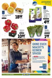 Gazetka promocyjna Metro - GastroJournal - Gazetka - ważna od 19.10 do 19.10.2022 - strona 5 - produkty: Abtei, angebot, angebote, aqua, ball, beutel, bio, braten, Cashew, cashewkerne, eis, elle, filet, fisch, fische, fleisch, forelle, frischfisch, grill, haselnuss, kartoffel, küche, lachs, lachsfilet, LG, mac, Metro, natur, nuss, obst, orange, orangen, paprika, paprika rot, petersilie, reis, rel, ring, rwe, saft, Saftorangen, Ti, walnuss, walnusskerne, wasser, Wild