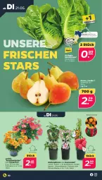Gazetka promocyjna Netto - Woche 21 - Gazetka - ważna od 25.05 do 25.05.2024 - strona 2 - produkty: beere, beeren, Birnen, blume, brombeere, brombeeren, eis, elle, forelle, heidelbeere, heidelbeeren, johannisbeere, Johannisbeeren, obst, pflanze, rel, Ria, sac, Ti