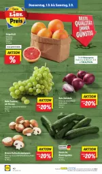 Gazetka promocyjna Lidl - Aktionsprospekt - Gazetka - ważna od 03.09 do 03.09.2022 - strona 38 - produkty: aktionspreis, auer, Bau, Bauer, braun, champignon, champignons, eis, elle, früchte, grapefruit, gurke, gurken, ndk, reis, Rote Zwiebel, Schal, Schale, Ti, trauben, zwiebel, zwiebeln