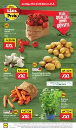 Gazetka promocyjna Lidl - Aktionsprospekt - Gazetka - ważna od 03.09 do 03.09.2022 - strona 6 - produkty: Abtei, aktionspreis, angebot, basilikum, discount, eis, frucht, kartoffel, kartoffeln, knoblauch, magazin, möhren, obst, Rauch, reis, speisekartoffeln, strauchtomaten, Ti, tomate, tomaten, topf, und gemüse