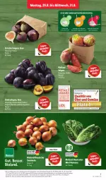 Gazetka promocyjna Lidl - Aktionsprospekt - Gazetka - ważna od 03.09 do 03.09.2022 - strona 7 - produkty: bio, bioland, discount, eis, elle, Feigen, fleisch, frucht, fruchtfleisch, lebensmittel, monitor, obst, Obst und Gemüse, pril, reis, Schal, Schale, Ti, und gemüse, zwiebel, zwiebeln