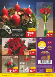 Gazetka promocyjna Netto Marken-Discount - Filial-Angebote - Gazetka - ważna od 19.11 do 19.11.2022 - strona 23 - produkty: Adventskranz, angebot, bestpreis, blume, blumen, Blumen und Pflanzen, coupon, deutschlandcard, discount, eis, erde, kerze, Kranz, marken-discount, pflanze, pflanzen, Rauch, reis, Schal, Schale, Ti, topf, Weihnachtsstern, ZTE