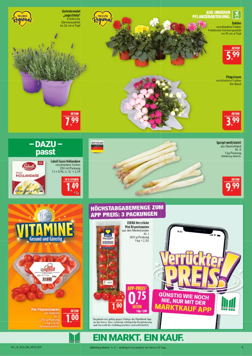 Aktueller Prospekt Marktkauf - Prospekt - von 07.06 bis 13.06.2026 - strona 11 - produkty: dahlie, deka, eis, erde, Garten, hollandaise, lavendel, LG, lukull, Pfingstrosen, reis, rispentomaten, rosen, sauce, sauce hollandaise, spargel, Ti, tomate, tomaten, topf, Yo, ZTE