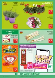 Gazetka promocyjna Marktkauf - Prospekt - Gazetka - ważna od 13.06 do 13.06.2026 - strona 11 - produkty: dahlie, deka, eis, erde, Garten, hollandaise, lavendel, LG, lukull, Pfingstrosen, reis, rispentomaten, rosen, sauce, sauce hollandaise, spargel, Ti, tomate, tomaten, topf, Yo, ZTE