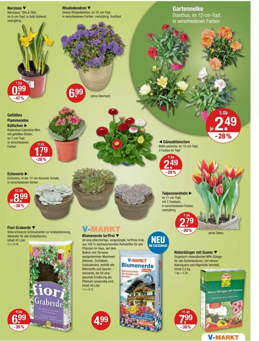 Aktueller Prospekt Vmarkt - Prospekte - von 14.03 bis 20.03.2024 - strona 15 - produkty: blume, blumen, blumenerde, Blüte, dünger, ente, erde, Garten, im 9-cm-topf, Kalanchoe, lamm, LG, natur, orchidee, orchideen, pflanze, pflanzen, Ria, Schal, Schale, Schmuck, Sukkulente, Ti, topf, zwiebel, zwiebeln