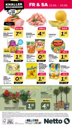 Gazetka promocyjna Netto - Woche 25 - Gazetka - ważna od 24.06 do 24.06.2023 - strona 28 - produkty: alle artikel ohne dekoration, angebot, Becher, blume, blumen, braten, chips, dekoration, eis, elle, fleisch, Fleischerei, galiamelone, geschnetzeltes, getränk, gin, joghur, joghurt, joghurt mit der ecke, Kalanchoe, kasseler, knorr, Konifere, mais, melone, milka, milkana, Müller, natur, nuss, pfanni, reis, rwe, Schal, Schale, Schere, schinken, schinkenbraten, schoko, schwein, schweine, tee, teekanne, Ti, topf, wein, weine, Zelt