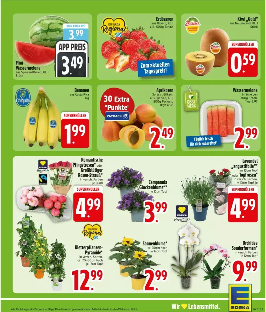 Aktueller Prospekt Edeka - Prospekte - von 18.05 bis 23.05.2026 - strona 6 - produkty: aprikose, aprikosen, banane, bananen, beere, beeren, blume, Campanula, deka, Elan, elle, erdbeere, erdbeeren, kiwi, lavendel, melone, orchidee, Pfingstrosen, pflanze, pflanzen, rosen, Schal, Schale, sonnenblume, Ti, tisch, topf, wasser, wassermelone, zespri