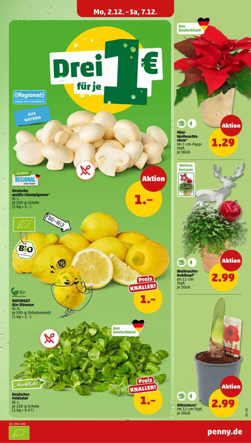 Aktueller Prospekt Penny - Prospekte - von 02.12 bis 07.12.2024 - strona 3 - produkty: champignon, champignons, feldsalat, natur, ritter, salat, Schal, Schale, topf