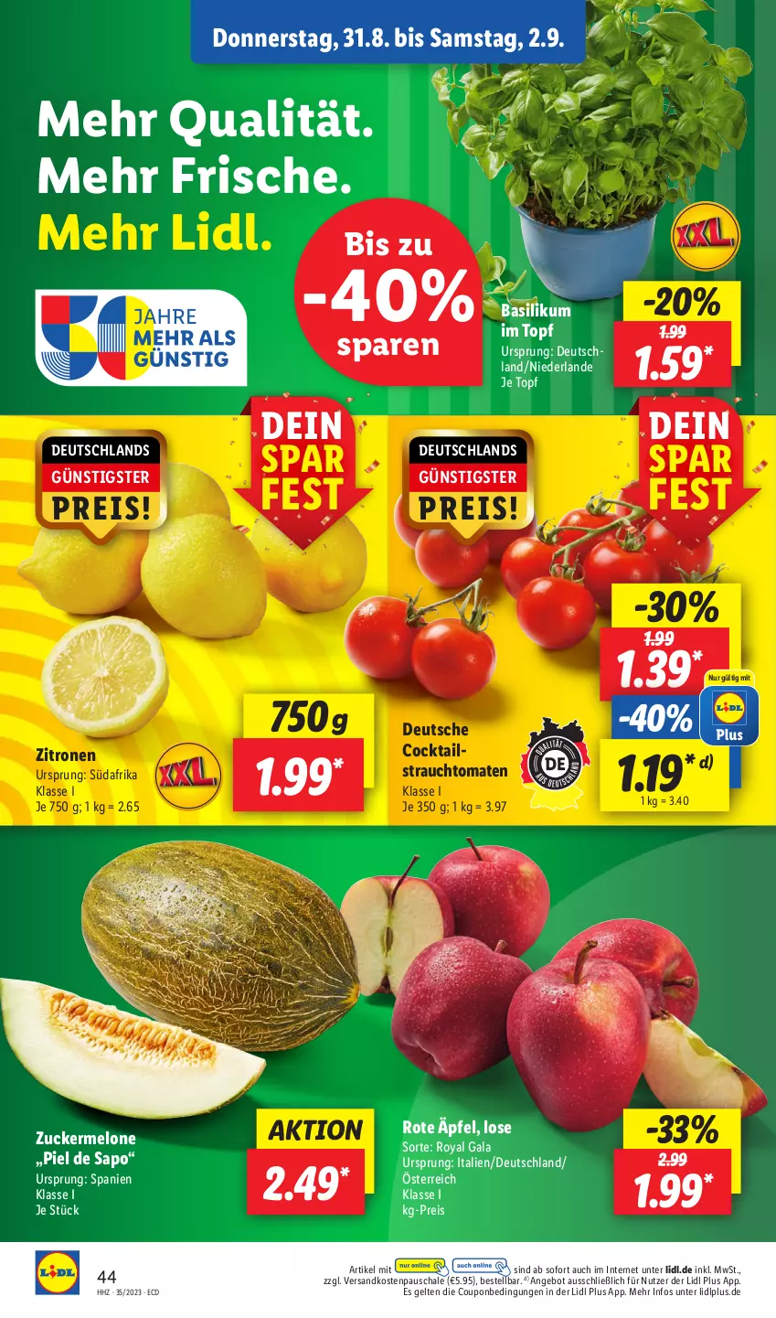 Aktueller Prospekt Lidl - Aktionsprospekt - von 28.08 bis 02.09.2023 - strona 58 - produkty: angebot, basilikum, cocktail, coupon, eis, melone, ndk, Rauch, reis, Schal, Schale, strauchtomaten, Ti, tomate, tomaten, topf, zitrone, zitronen, zucker, Zuckermelone