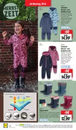 Gazetka promocyjna Lidl - Aktionsprospekt - Gazetka - ważna od 02.09 do 02.09.2023 - strona 34 - produkty: angebot, asti, bio, decksohle, dell, eis, elle, Finish, Leuchte, leuchten, lupilu, Mode, ndk, Overall, reis, Ria, ring, Schal, Schale, Ti, tisch, wasser, ZTE