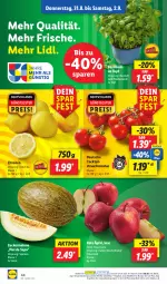 Gazetka promocyjna Lidl - Aktionsprospekt - Gazetka - ważna od 02.09 do 02.09.2023 - strona 58 - produkty: angebot, basilikum, cocktail, coupon, eis, melone, ndk, Rauch, reis, Schal, Schale, strauchtomaten, Ti, tomate, tomaten, topf, zitrone, zitronen, zucker, Zuckermelone