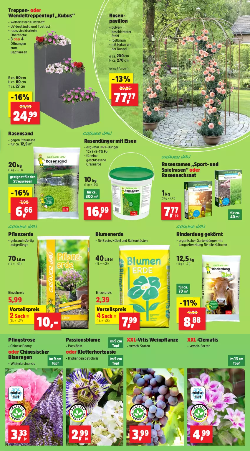 Aktueller Prospekt Thomas Philipps - von 12.05 bis 17.05.2025 - strona 3 - produkty: blume, blumen, blumenerde, braun, dünger, eis, erde, Garten, hortensie, hydrangea, Passiflora, pavillon, pflanze, pflanzen, pflanzerde, rasen, rasendünger, rasensamen, Rauch, reis, Ria, rind, rinder, rosen, sac, Sport, Ti, topf, vorteilspreis, wein