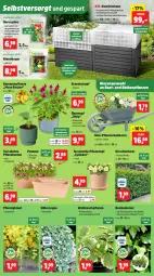 Gazetka promocyjna Thomas Philipps - Gazetka - ważna od 17.05 do 17.05.2025 - strona 2 - produkty: balkonpflanzen, banane, bananen, chia, decke, Deckel, dünger, Gewächshaus, Holz, HP, Hysan, kirsch, Kraut, kräuter, kräutern, mac, petunie, pflanze, pflanzen, Pflanzkasten, Pflanztopf, Rauch, tender, Ti, tisch, topf, übertopf, Untersetzer, vita, werkzeug