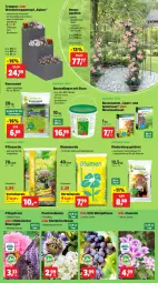 Gazetka promocyjna Thomas Philipps - Gazetka - ważna od 17.05 do 17.05.2025 - strona 3 - produkty: blume, blumen, blumenerde, braun, dünger, eis, erde, Garten, hortensie, hydrangea, Passiflora, pavillon, pflanze, pflanzen, pflanzerde, rasen, rasendünger, rasensamen, Rauch, reis, Ria, rind, rinder, rosen, sac, Sport, Ti, topf, vorteilspreis, wein