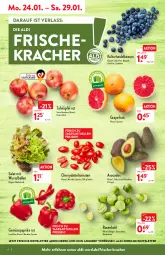 Gazetka promocyjna Aldi Nord - Aldi-Aktuell - Gazetka - ważna od 29.01 do 29.01.2022 - strona 4 - produkty: aldi, angebot, avocado, avocados, ball, beere, beeren, datteltomaten, eis, elle, grapefruit, heidelbeere, heidelbeeren, kracher, LG, paprika, paprika rot, reis, rosen, Rosenkohl, salat, Schal, Schale, tafeläpfel, Ti, tomate, tomaten