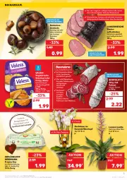 Gazetka promocyjna Kaufland - Spezielle Angebote - Gazetka - ważna od 26.01 do 26.01.2022 - strona 3 - produkty: angebot, angebote, balsam, balsamico, buch, chia, chianti, eier, eis, elle, Geflügel, gouda, Holz, kräuter, kräutern, mac, mit gouda, nuss, orchidee, orchideen, rezept, rind, rinder, Rinderkeule, saft, saftschinken, salami, schinken, schnitzel, Ti, tisch, topf, topf ø 12 cm, Trüffel, übertopf, Vegeta, walnuss, zwiebel, zwiebeln