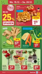Gazetka promocyjna Aldi Nord - Von Montag - Gazetka - ważna od 20.12 do 20.12.2025 - strona 4 - produkty: eis, fleisch, gin, ingwer, Kalanchoe, kartoffel, kartoffeln, kulturtopf, papier, Papiertüte, pflanze, reis, Ria, sac, Schal, Schale, speisekartoffeln, suppe, suppen, suppenfleisch, Ti, topf, Tüte, Vase, ZTE, zwiebel, zwiebeln