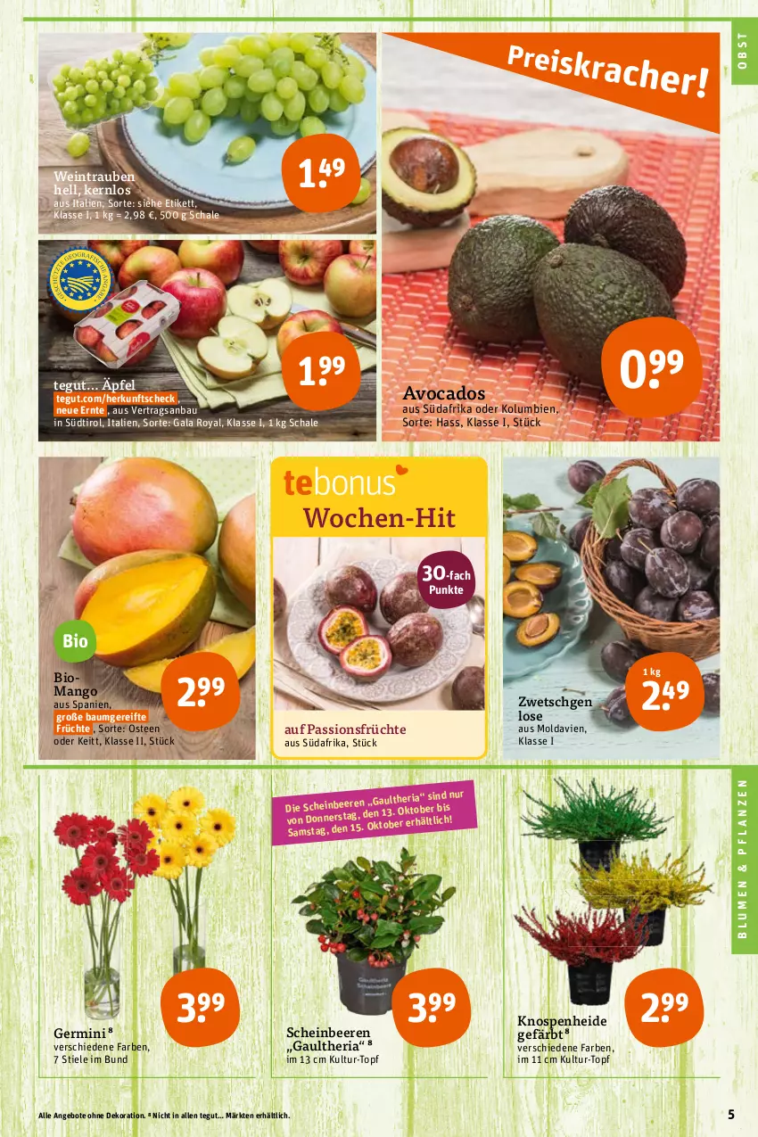 Aktueller Prospekt Tegut - Angebote der Woche - von 10.10 bis 15.10.2022 - strona 5 - produkty: angebot, angebote, avocado, avocados, Bau, beere, beeren, bio, blume, blumen, dekoration, früchte, Germ, mango, obst, pflanze, pflanzen, Ria, Schal, Schale, tee, Ti, topf, trauben, wein